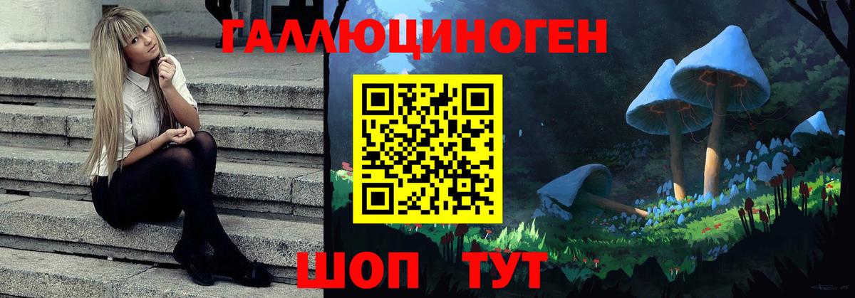 Рузаевка  Галлюциногенные грибы GOLDEN TEACHER  Псилоцибиновые грибы Psilocybe  Вход с VPN 