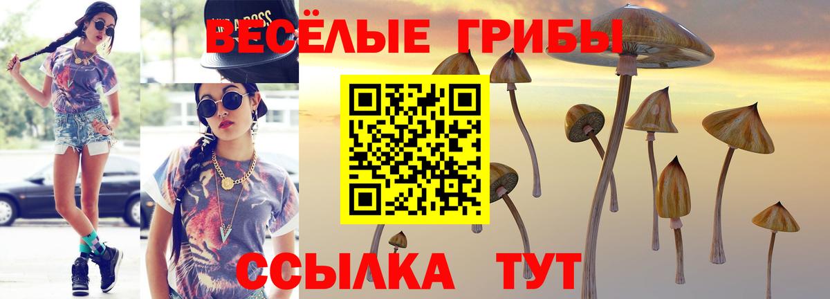 Галлюциногенные грибы мицелий Рузаевка